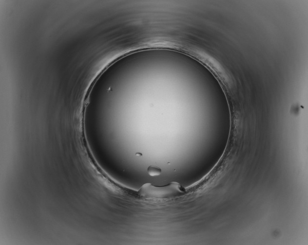 X0000100191236200805301240