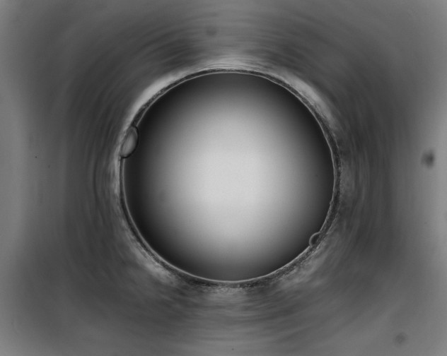 X0000100191238200805301240
