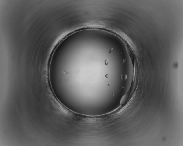 X0000100191240200805301240