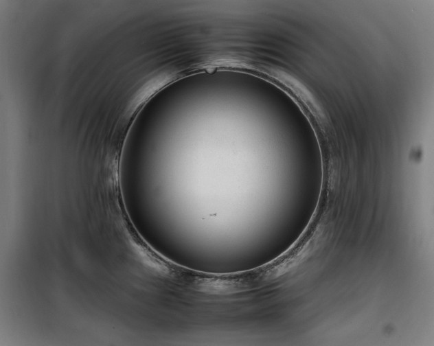 X0000100191241200805301240