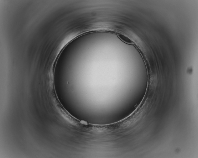 X0000100191242200805301240