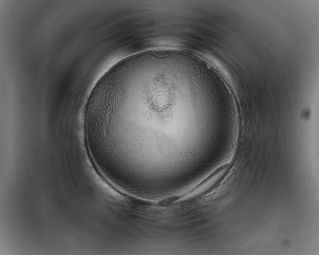 X0000100191243200805301240
