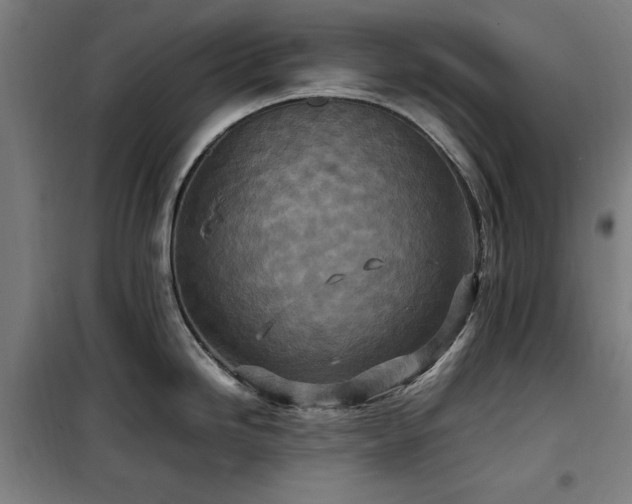X0000100191246200805301240