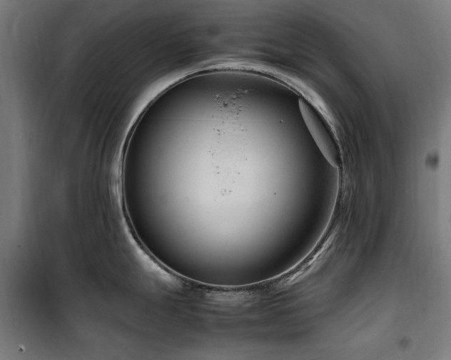 X0000100191247200805301240
