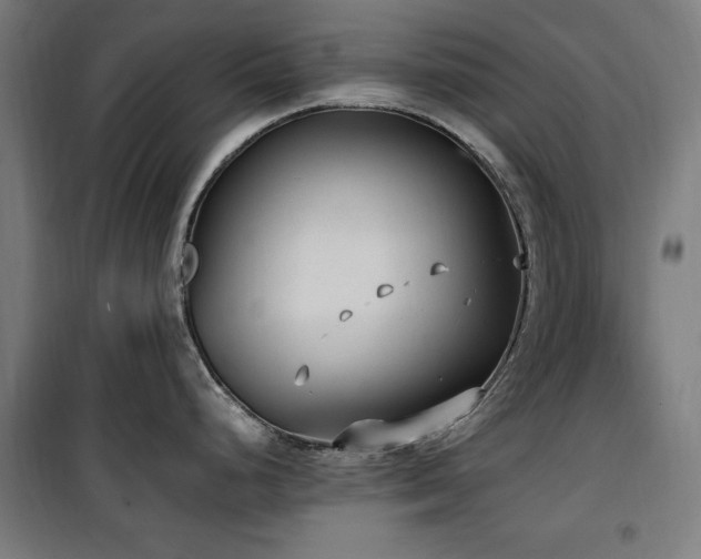 X0000100191248200805301240