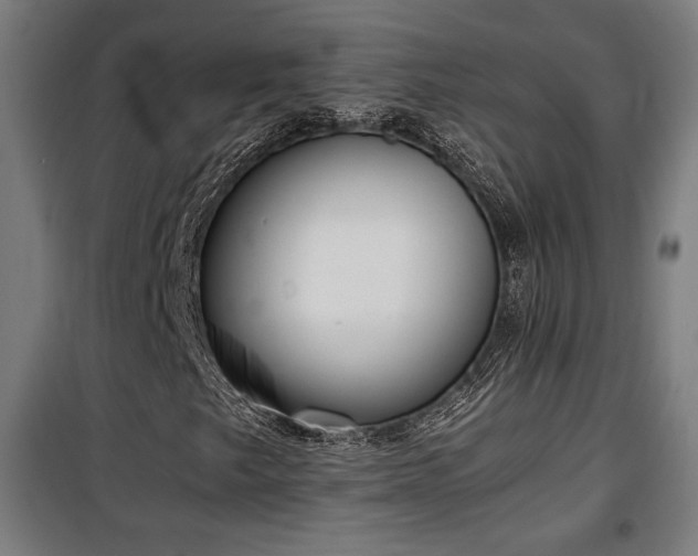 X0000100191249200805301240