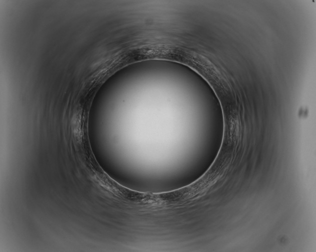 X0000100191250200805301240