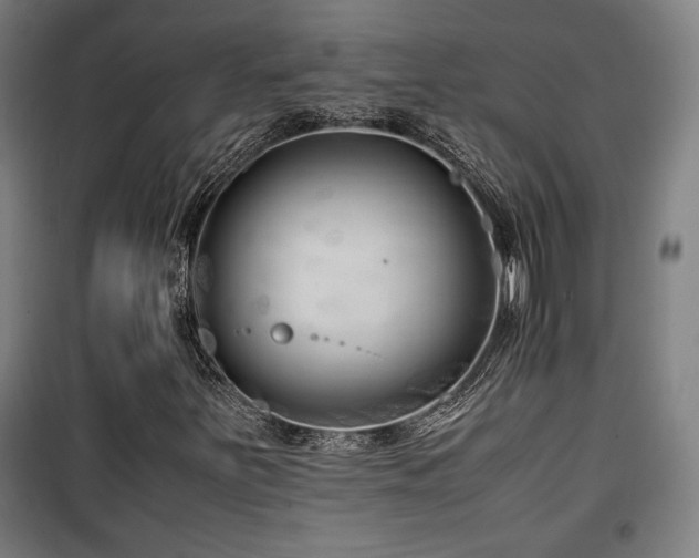 X0000100191251200805301240