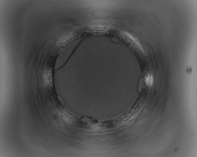 X0000100191252200805301240