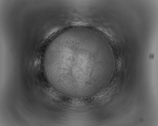 X0000100191254200805301240