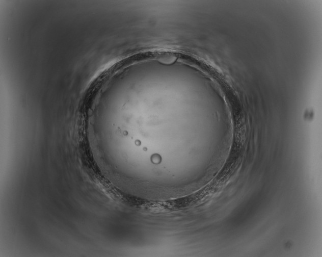 X0000100191255200805301240