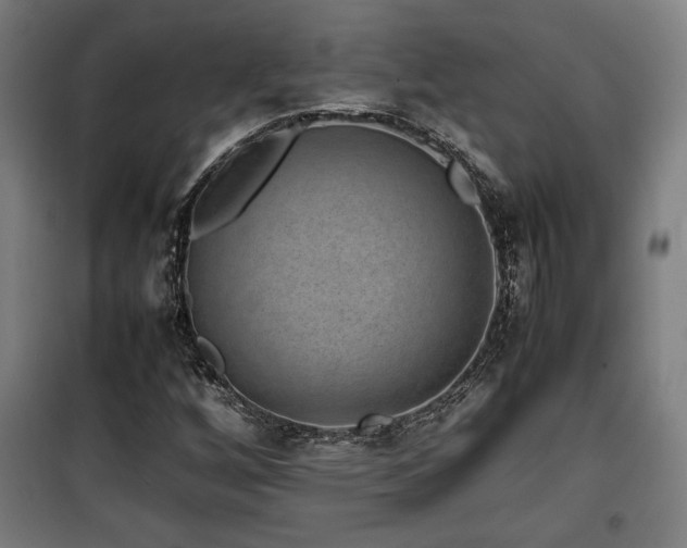 X0000100191256200805301240