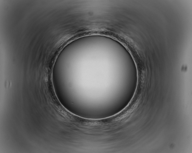 X0000100191257200805301240