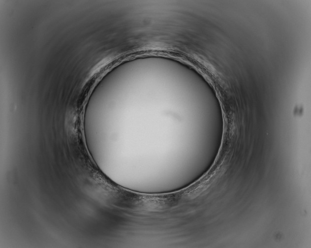 X0000100191258200805301240