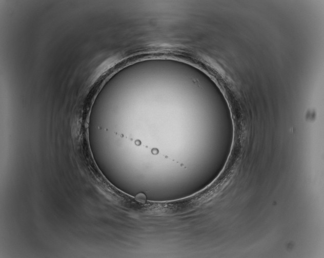 X0000100191259200805301240