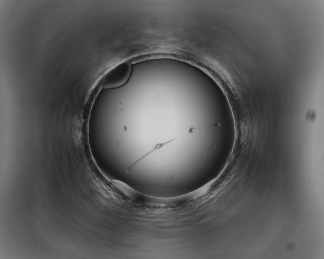 X0000100191260200805301240