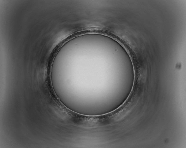 X0000100191261200805301240