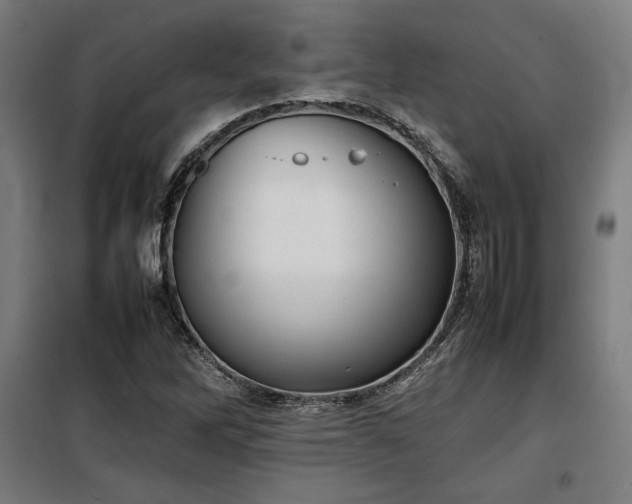X0000100191262200805301240