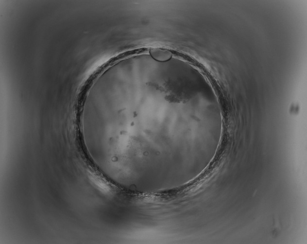 X0000100191263200805301240