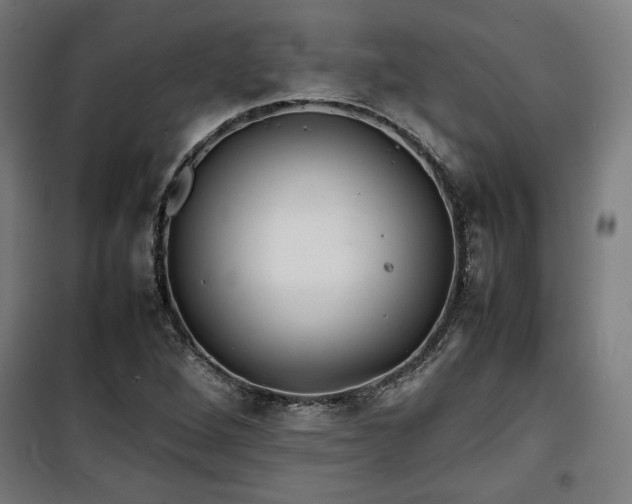 X0000100191264200805301240