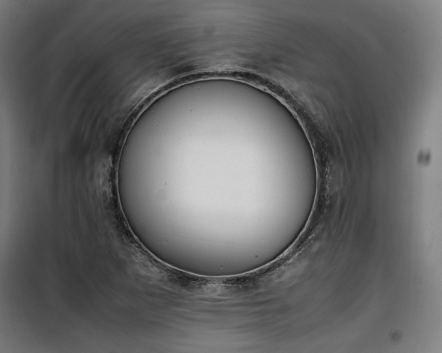 X0000100191265200805301240
