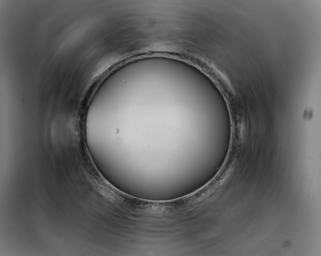 X0000100191266200805301240