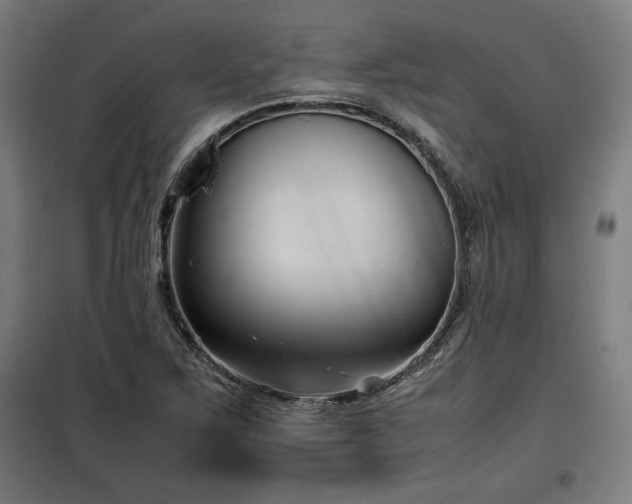 X0000100191267200805301240