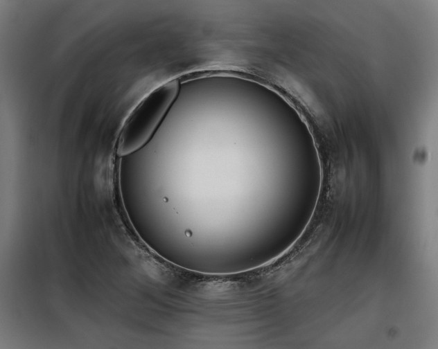 X0000100191268200805301239