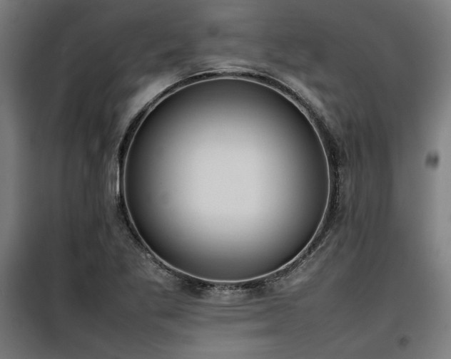 X0000100191269200805301239