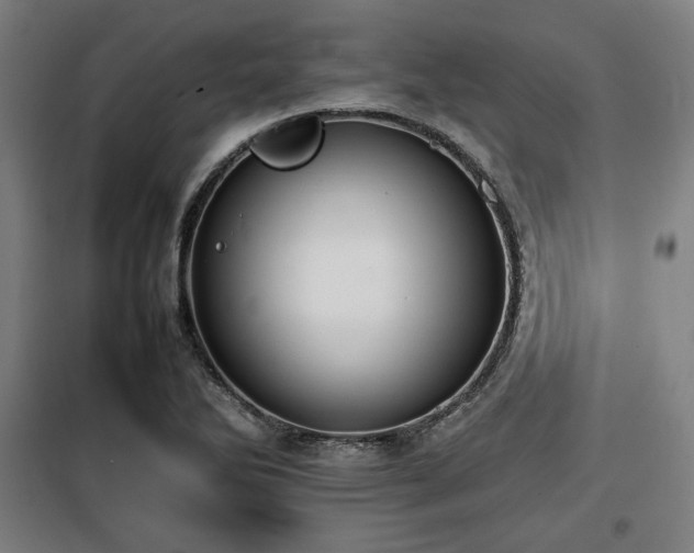 X0000100191270200805301239