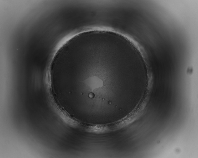 X0000100191271200805301239