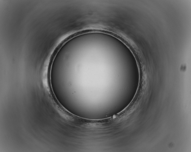 X0000100191272200805301239