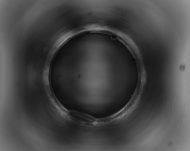 X0000100191273200805301239