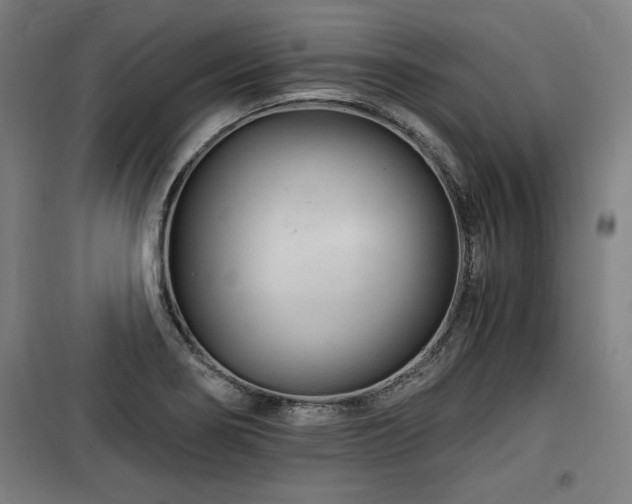 X0000100191274200805301239