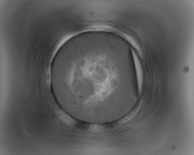 X0000100191275200805301239