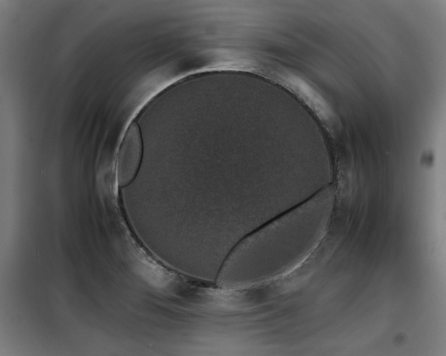 X0000100191276200805301239