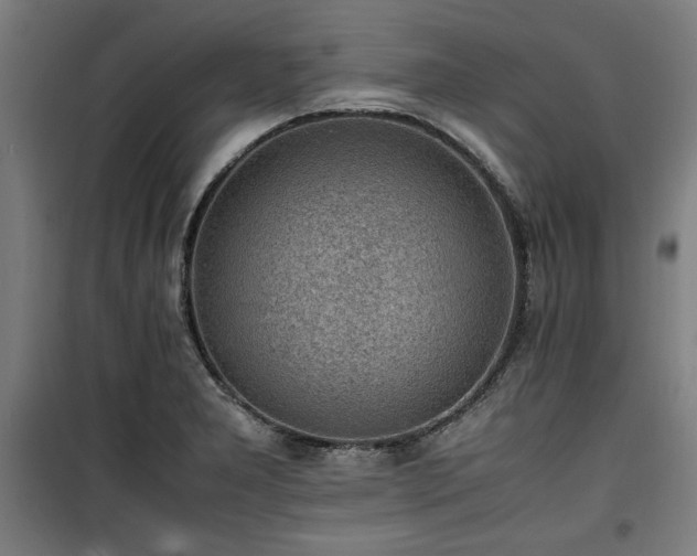 X0000100191277200805301239