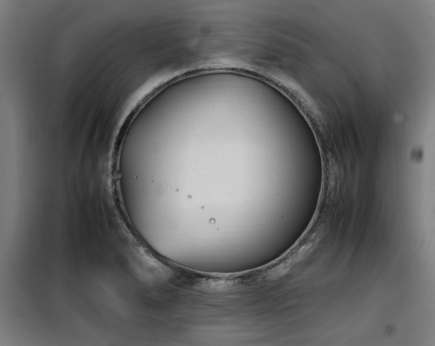 X0000100191278200805301239