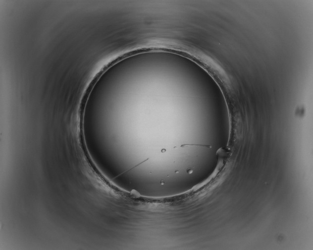 X0000100191280200805301239