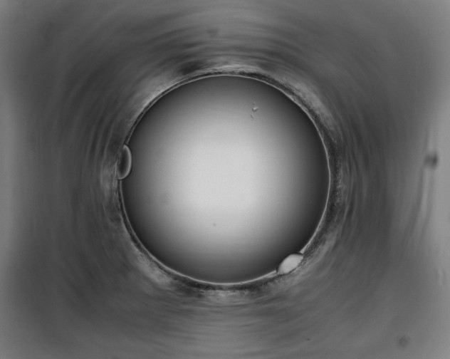 X0000100191281200805301239