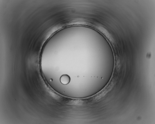 X0000100191282200805301239