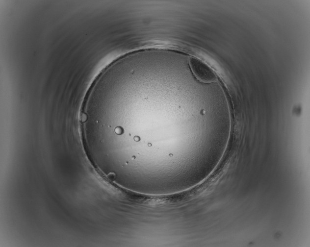 X0000100191283200805301239