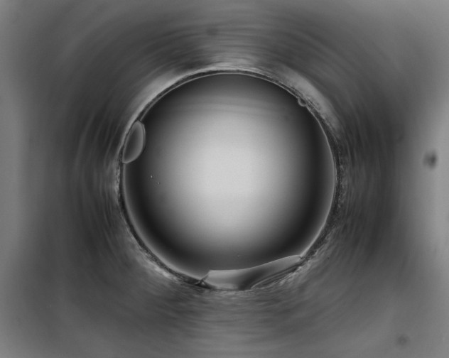X0000100191284200805301239