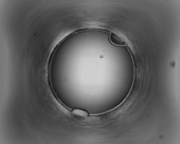 X0000100191285200805301239