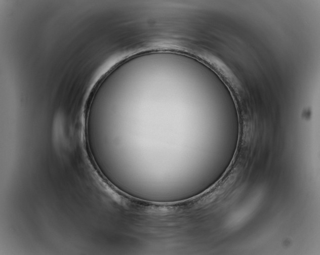 X0000100191286200805301239