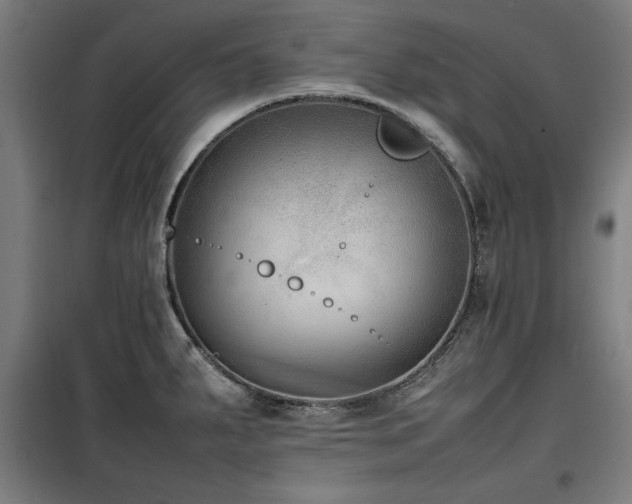 X0000100191287200805301239