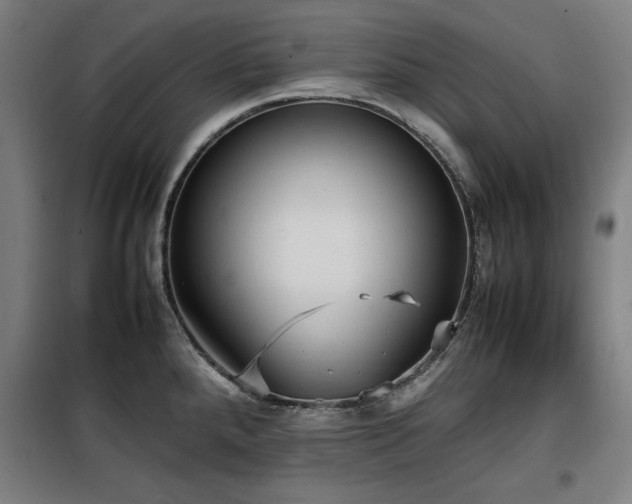 X0000100191288200805301239