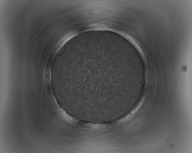 X0000100191289200805301239