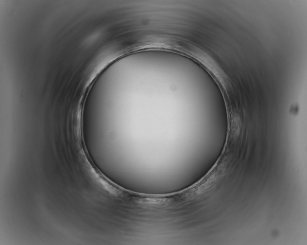 X0000100191290200805301239