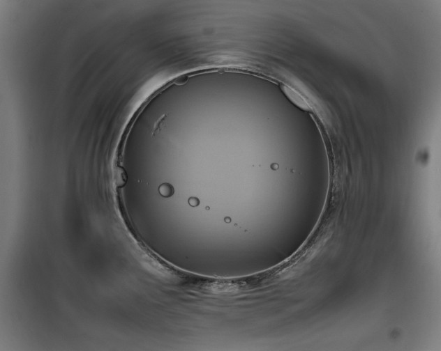 X0000100191291200805301239
